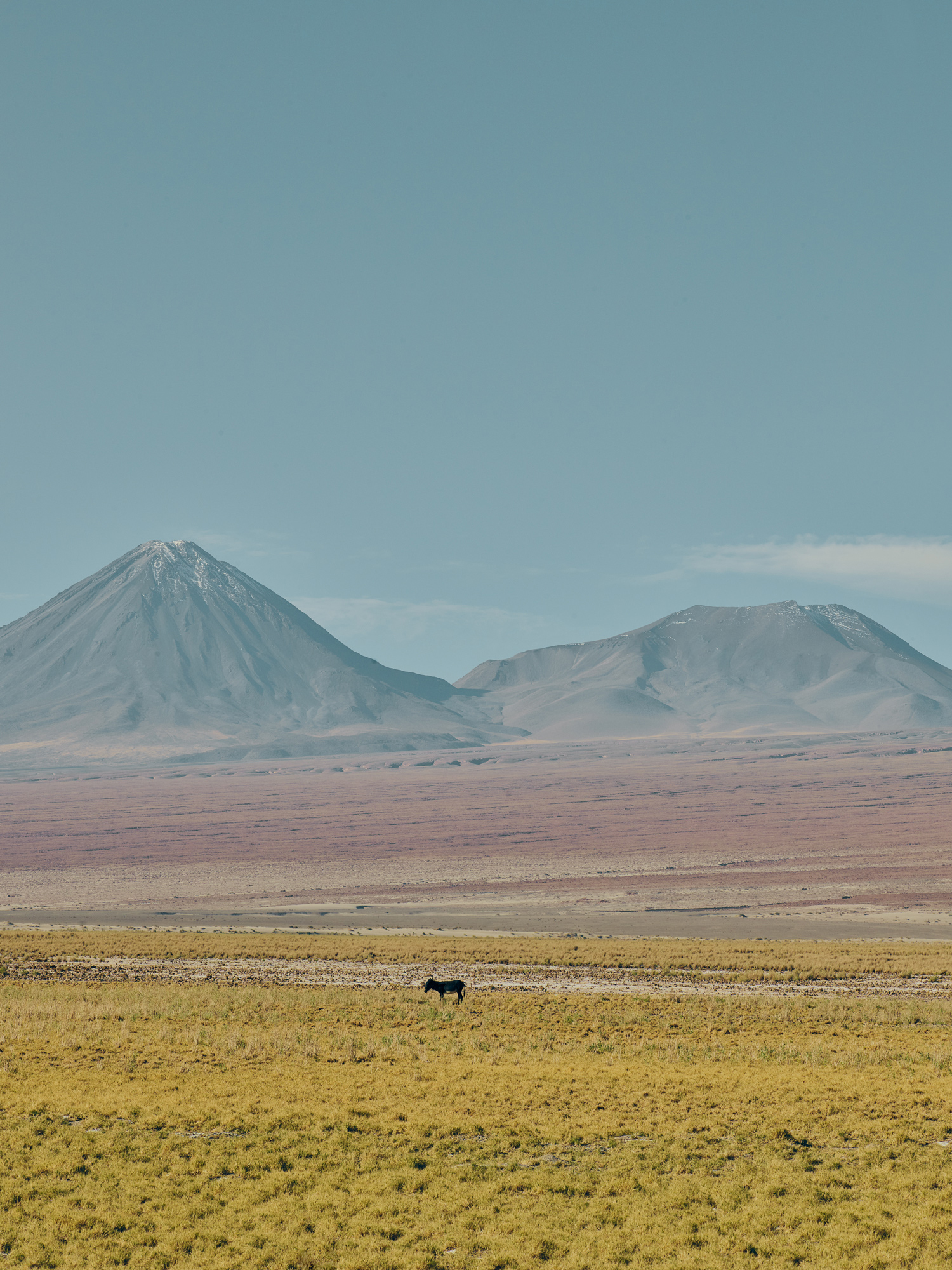 Atacama - Travel+Leisure 